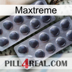 Maxtreme 31